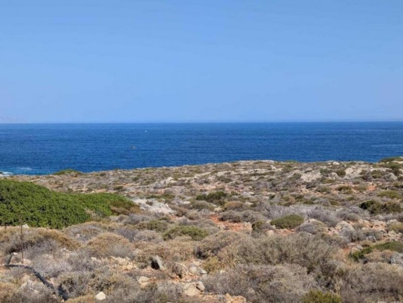 Stavros Kreta, Stavros: Küstengrundstücke mit Baugenehmigung und Meerblick zu verkaufen Grundstück kaufen